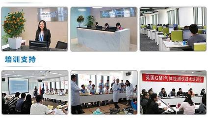 美国福禄克F319交直流数字钳表 技术解析、选购指南与应用场景